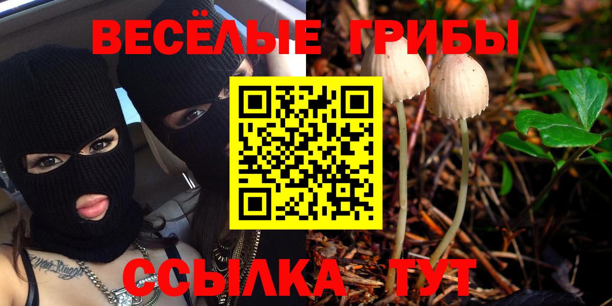 Галлюциногенные грибы Psilocybe Среднеуральск