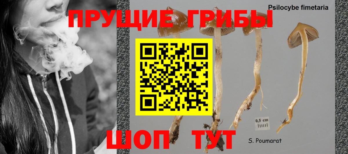 Среднеуральск  Псилоцибиновые грибы мухоморы  Вход с VPN 